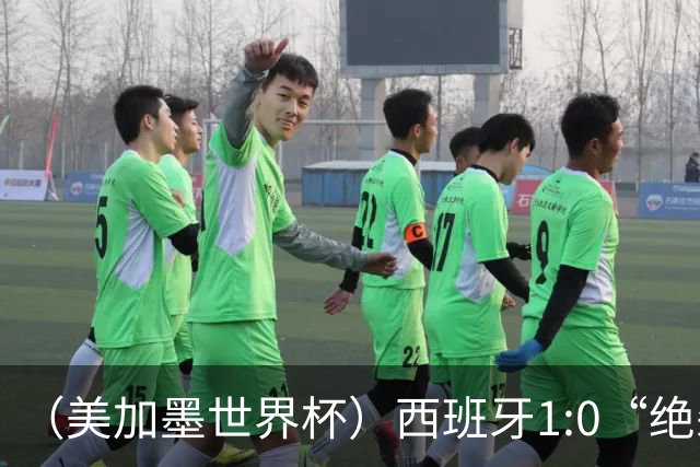 （美加墨世界杯）西班牙1:0“绝杀”葡萄牙 C罗结束世界杯征程